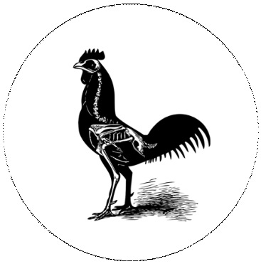 Rooster Pinback Button and Stickers