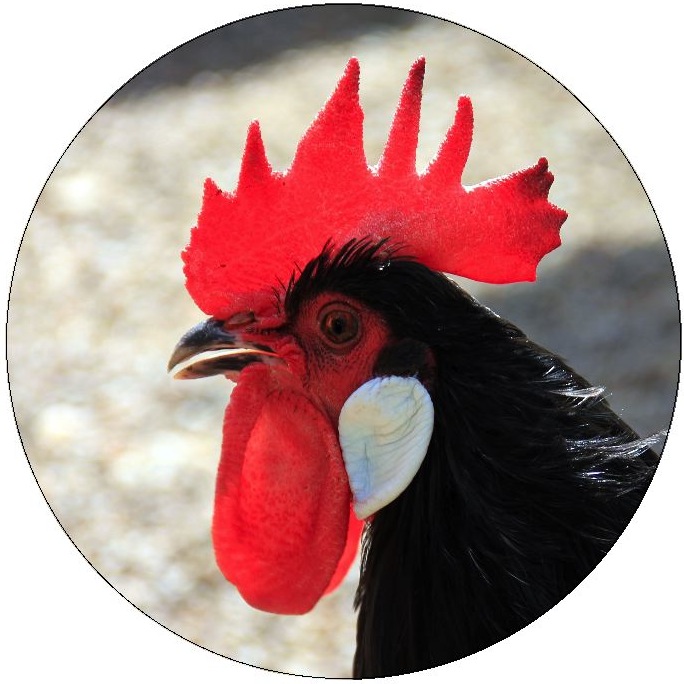 Rooster Pinback Buttons and Stickers