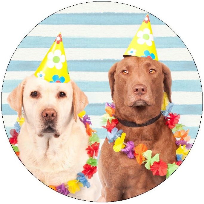 Birthday Dogs Pinback Buttons and Stickers