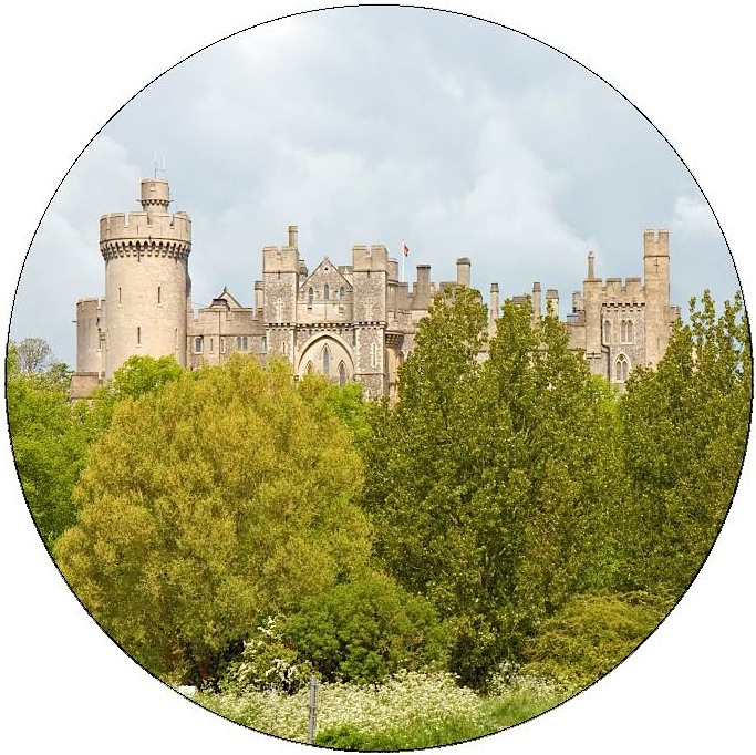 Castle Pinback Button and Stickers