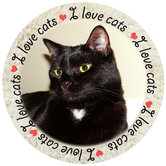 Cat Pinback Buttons and Stickers