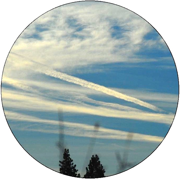 Chemtrails Pinback Buttons and Stickers