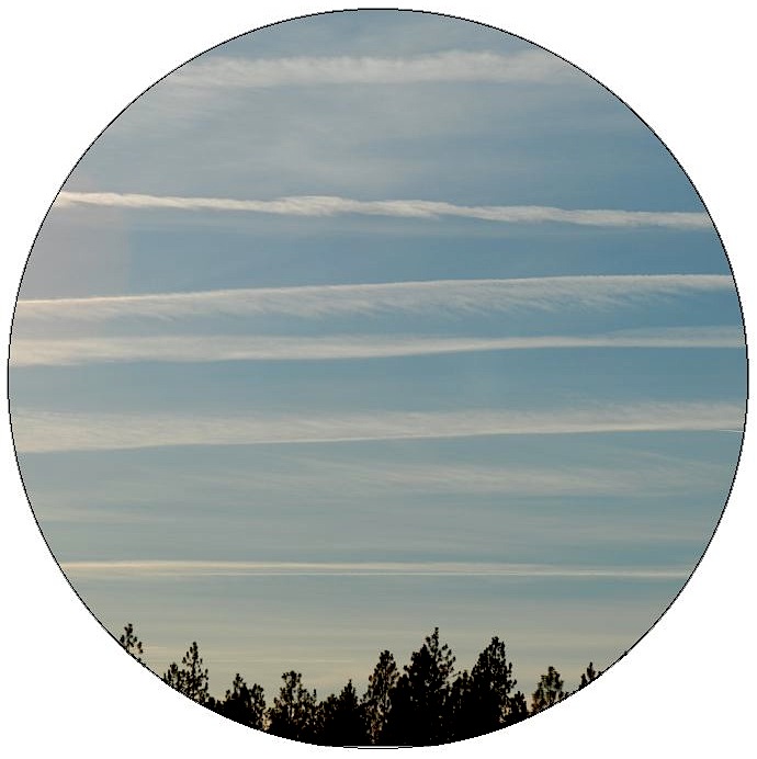 Chemtrail Pinback Buttons and Stickers