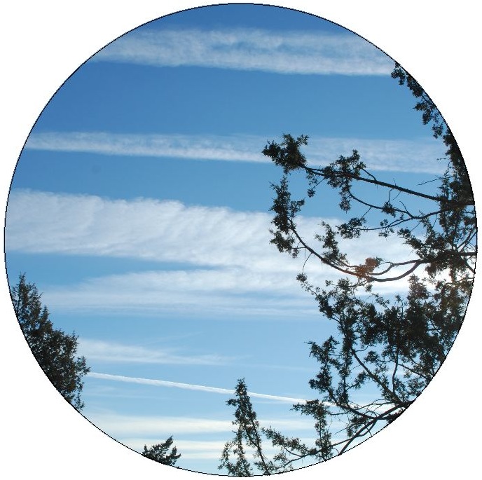 Chemtrails Pinback Buttons and Stickers