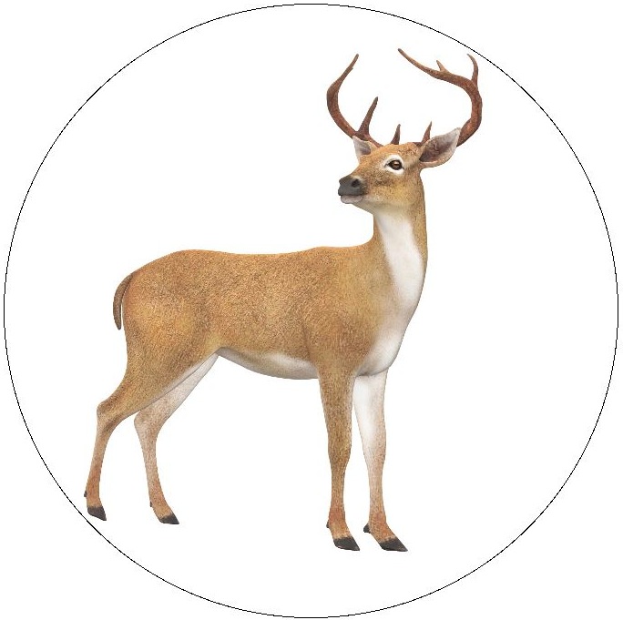 Deer Pinback Buttons and Stickers