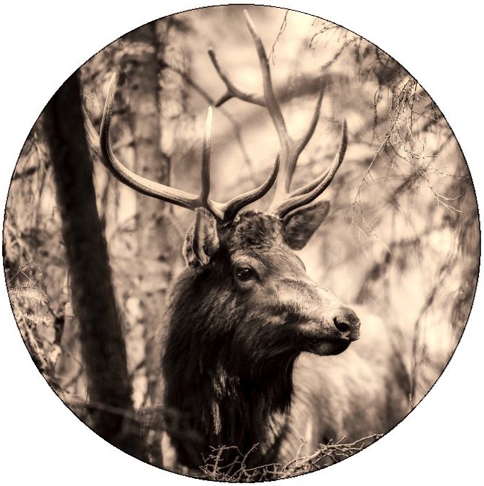 Elk Pinback Buttons and Stickers