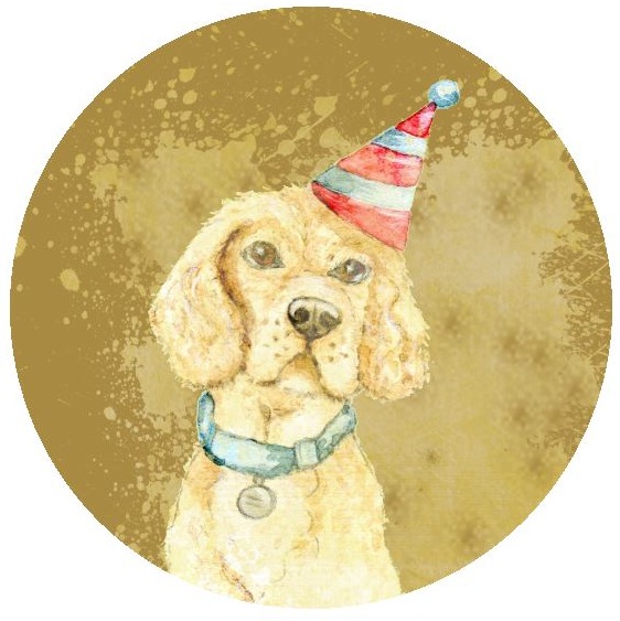 Birthday Dog Pinback Buttons and Stickers