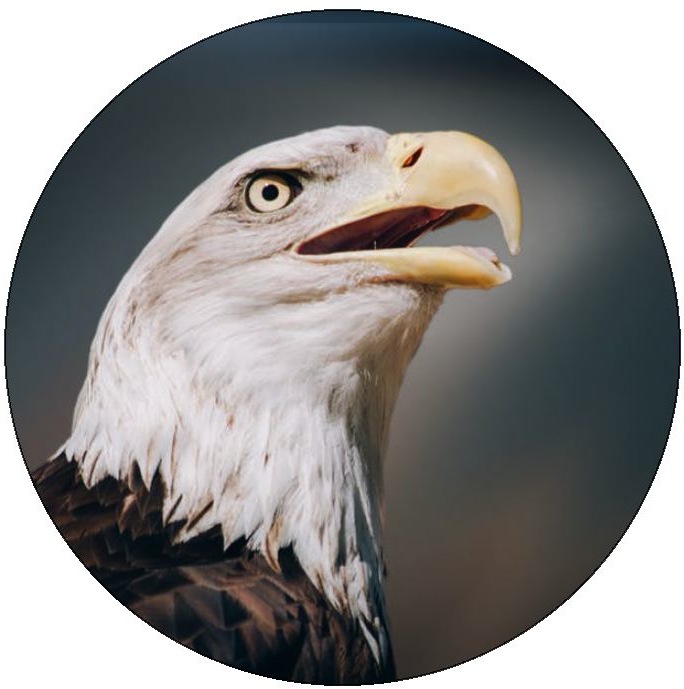 Eagle Pinback Buttons and Stickers