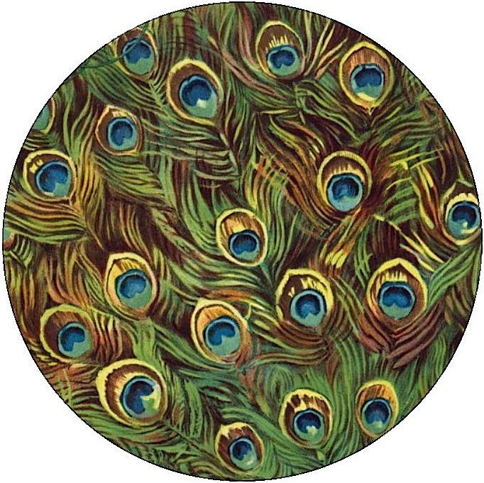 Peacock Feather Pinback Buttons and Sticker
