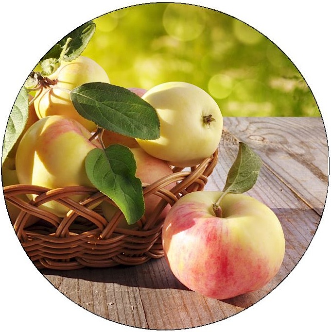 Apple Pinback Buttons and Stickers