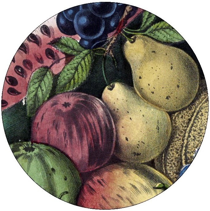 Fruit Painting Pinback Buttons and Stickers