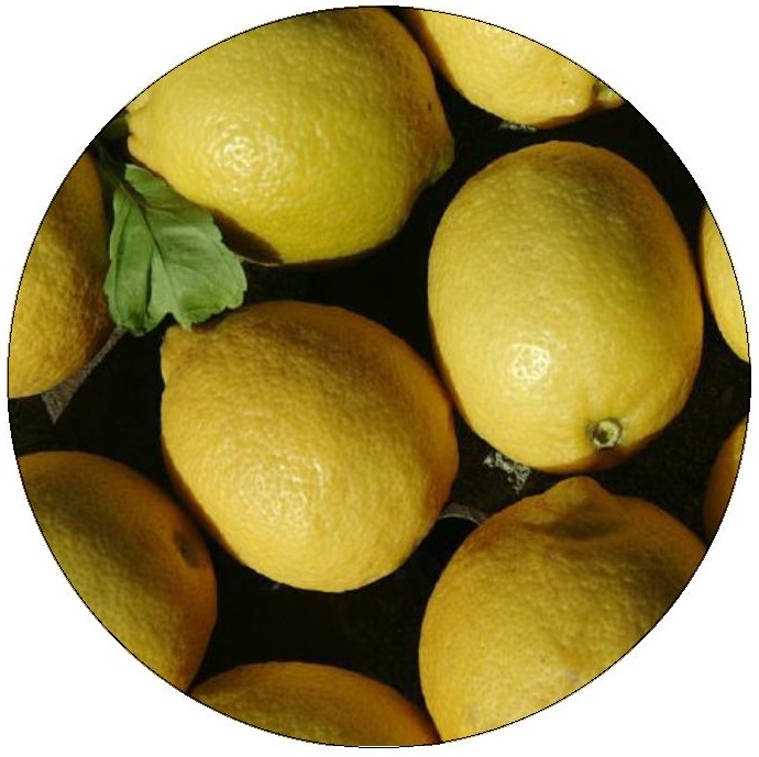 Lemons Pinback Buttons and Stickers
