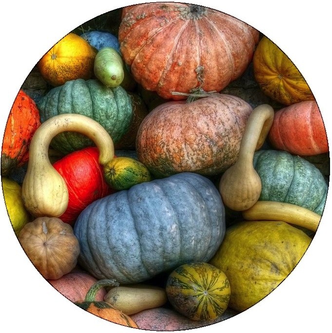 Squash and Pumkin Pinback Buttons and Stickers