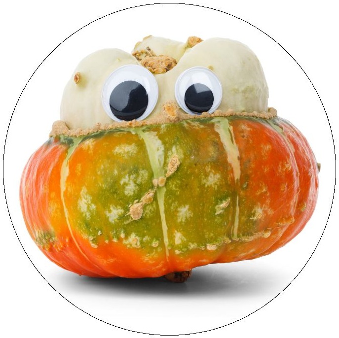 Halloween Squash Pinback Buttons and Stickers