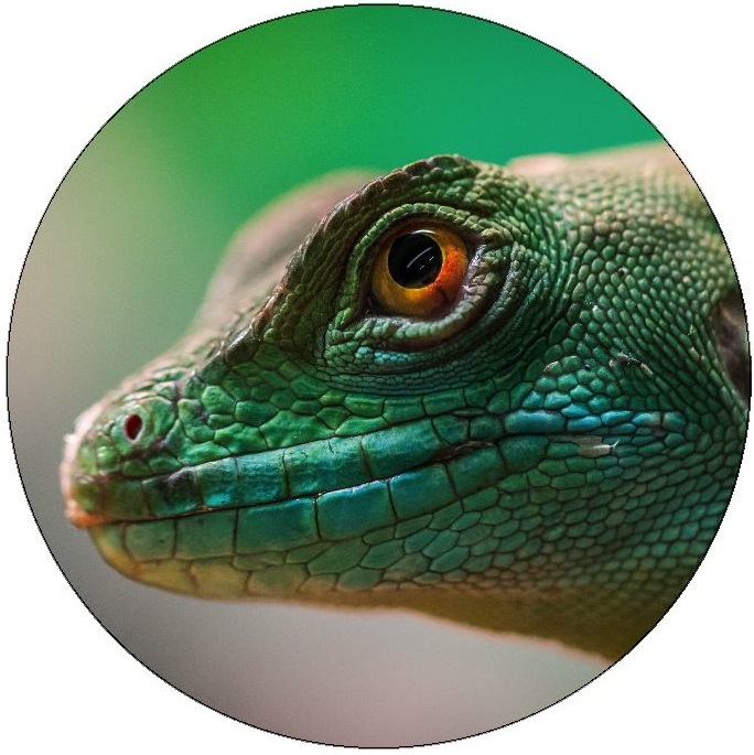 Lizard Pinback Buttons and Stickers