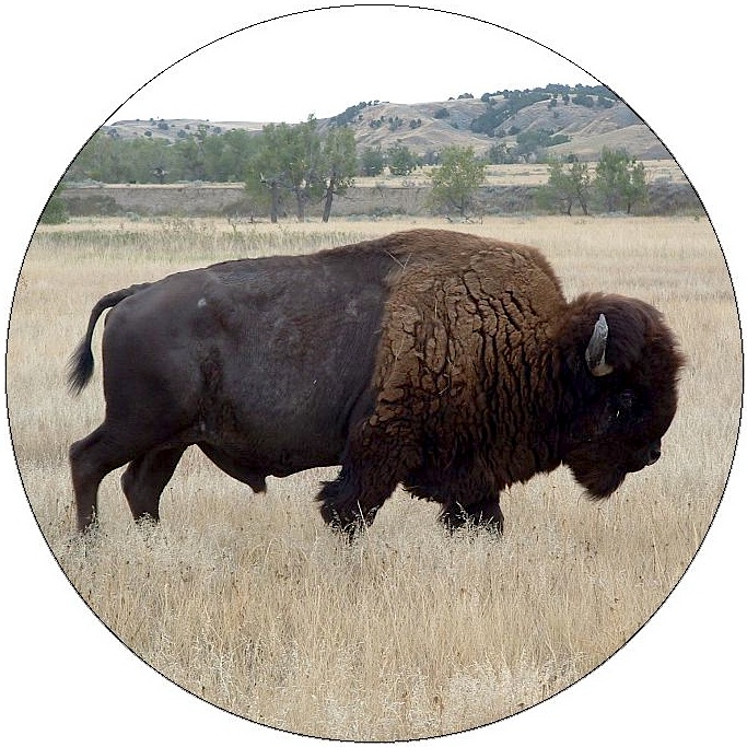 Badlands National Park Pinback Buttons and Stickers