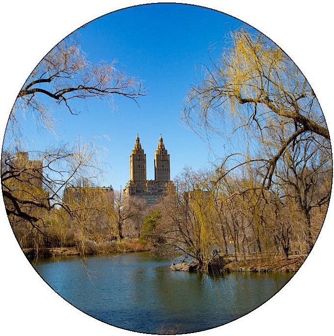 New York City Central Park Pinback Button and Stickers