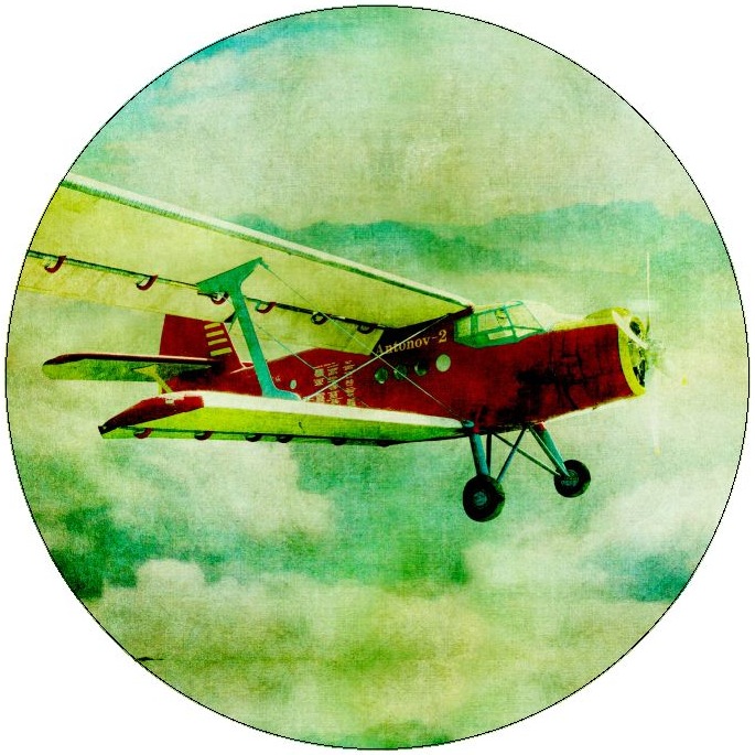 Plane Pinback Button and Stickers