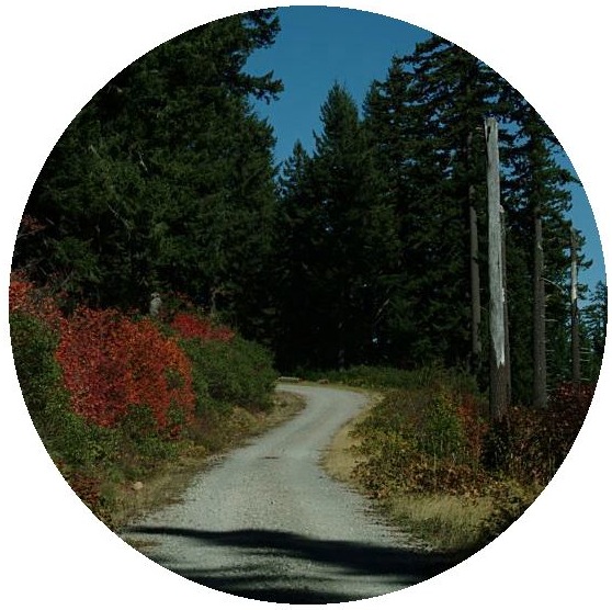 Roads Pinback Buttons and Stickers