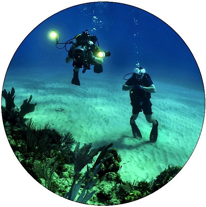 Scuba Diving Pinback Buttons and Stickers