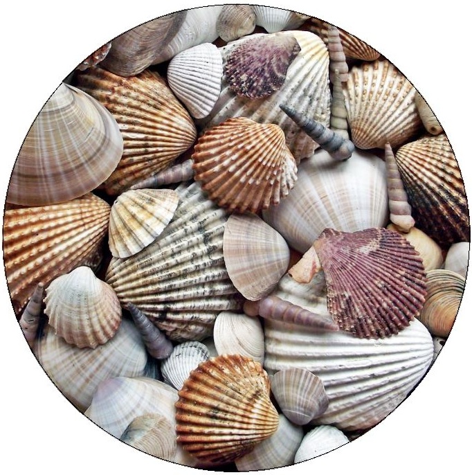 Seashell Pinback Button and Stickers