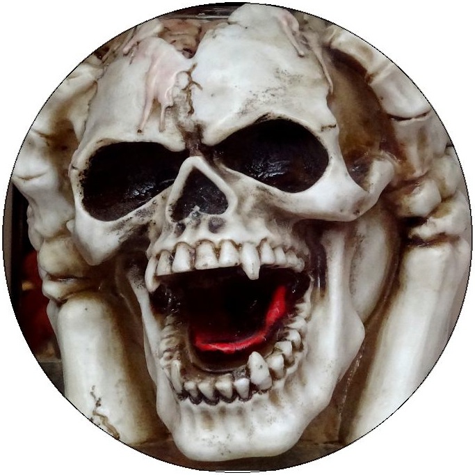 Skull and Skeleton Pinback Button and Stickers