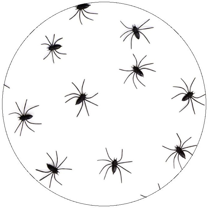 Spider Pinback Button and Stickers