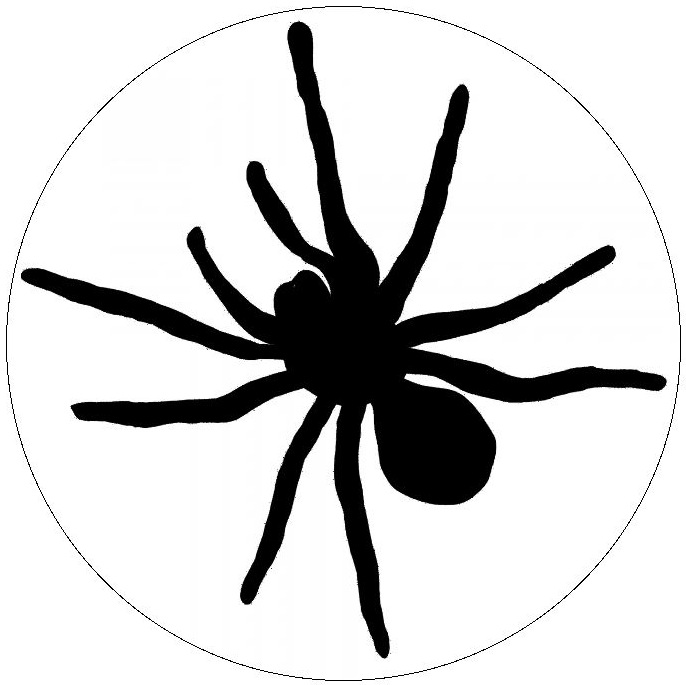 Spider Web Pinback Button and Stickers