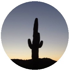 Organ Pipe Cactus Pinback Sunset and Stickers