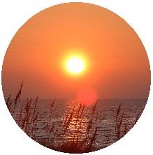 Sunset Pinback Buttons and Stickers