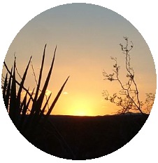 Sunset Photo Pinback Buttons and Stickers
