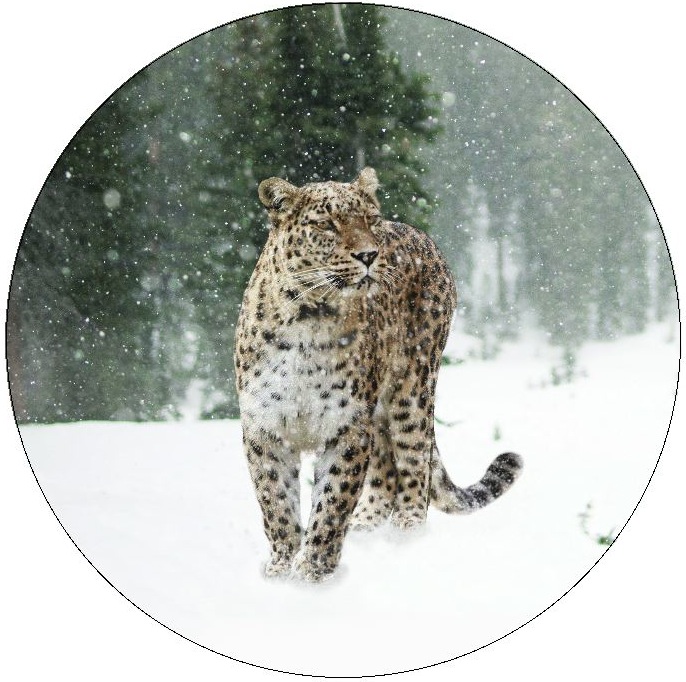 Leopard Pinback Buttons and Stickers