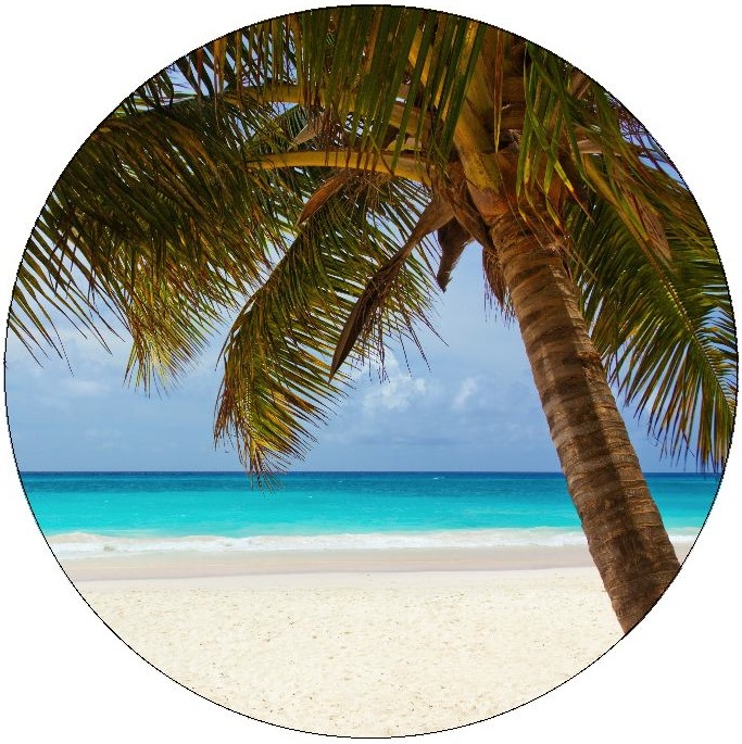 Palm Trees Pinback Buttons and Stickers