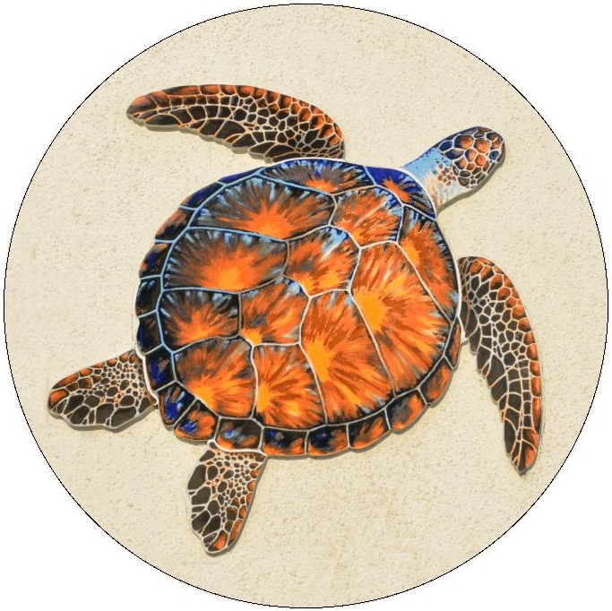Turtle and Tortoise Pinback Buttons and Stickers