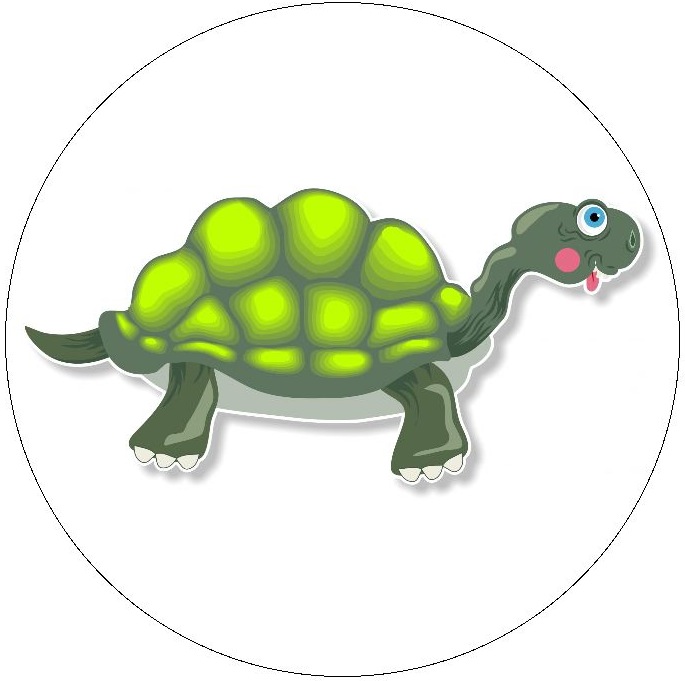 Turtle and Tortoise Pinback Buttons and Stickers