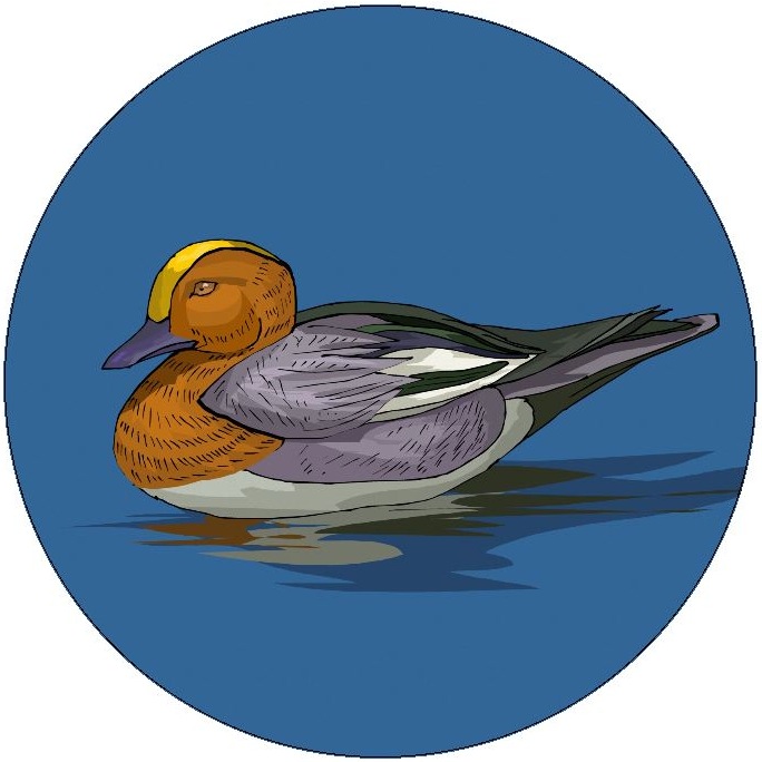 Duck and Geese Pinback Button and Stickers